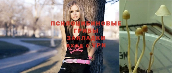 герыч Заводоуковск