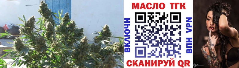 ТГК гашишное масло  darknet клад  Сосенский 