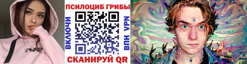 купить  цена  Сосенский  Галлюциногенные грибы Psilocybine cubensis 